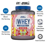 Applied Nutrition Critical Whey Advanced Protein | Muscle Building | 4.8g BCAA & 4g Glutamine | Hala
