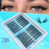 3D Natural Long Eyelash Clusters 216pcs DIY Eyelash Extension Kit, Cat Eye/Fox Eye Style, Asymmetric