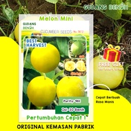 Bibit Melon Mini / Benih Semangka Mini / Benih Buah Unggul / Bibit Buah Semangka / Bibit isi 30