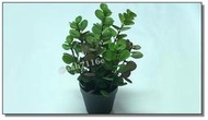 ◎花語人造花資材◎人造盆栽＊11吋薄荷葉盆栽＊桌上型小盆栽~飯店餐廳~居家櫥窗擺設~室內設計