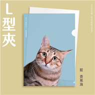 《萌毛貓》2021年年曆系列單層式L夾／藍-香蕉油【臺北市流浪貓保護協會】 (新品)