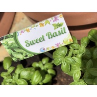 Sweet Basil Garden Plant Signage