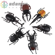 ADAMES Simulation Beetle Joke Toys Fake Beetle Beetle Figures Insect Toy Science Toy Kids Insect Mod