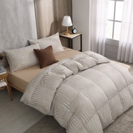 雙人/冬月羽絨被/好收納、可機洗、免被套、超保暖-線條奶茶