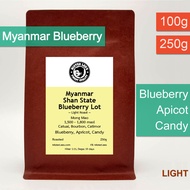 Myanmar Shan State Blueberry Lot เมล็ดกาแฟเมียนมาบลูเบอร์รีคั่วอ่อน