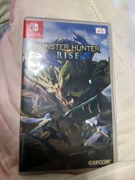 Monster hunter rise