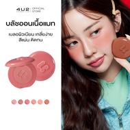 4U2 BLUSH ON MATTE - บลัชออนเนื้อแมท