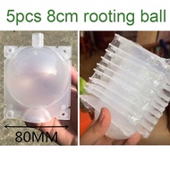 5pcs 8cm Fruit Plant Tree Rooting Ball High-pressure Breeding Root Box Plastic Case Transparent Graf