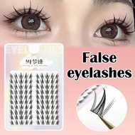 3d Cat Eye Clusters Lashes Manga Fox Natural False Lash Curl Individual Extensions C Lashes Q1