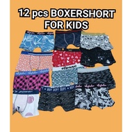 Boxer brief for kids