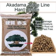 Triple Line Hard Akadama 1L for Cactus &amp; Succulent Top Dressing Bonsai Tree Soil Mix excellent drainage and aeration for healthy root growth