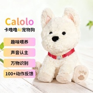 Nanjing Shangxiang Merchandise Co., Ltd. Dr. Luka Calolo Calolo AI Pet Dog AI Dialogue Accompanying 