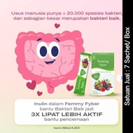 Femmy Fyber 7s Box Psyllium Husk Ekstrak Buah Sayur Konsentrat Sari Buah Merah Gojiberry Bit Merah B