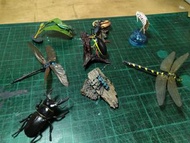 絕版 YUJIN 原色日本昆蟲圖鑑 昆蟲博物館  仿真 精緻 蜻蜓 龍蝨  鍬形蟲 吉丁蟲  步行蟲+海洋堂 瓶蓋生物 大王具足蟲