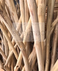 KAYU Teak Wood Twigs | Macrame Wood Twig Part I