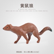 Weasel Branch Feeding Animal Weasel Solid Model Weasel Wolf Yellow Leather Children Simulation Cogni