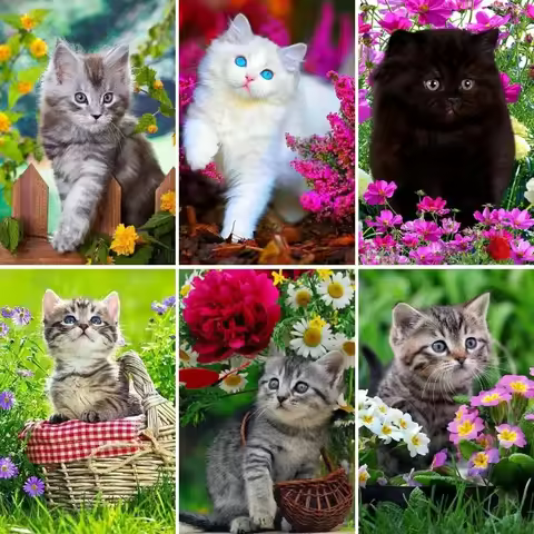 DIY 5D Diamond Painting Kits Baby Cat,Diamond Art Craft Tabby Cat, Kitten Rhinestone Diamond Picture