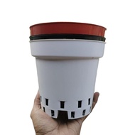 Jingga ORCHID pot 17: tall pot, beautiful flower pot