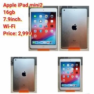 apple iPad mini2