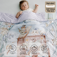 OAK FAMILY | Chăn Mùa Hè Cho Bé