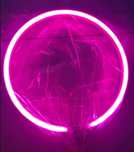 Đèn hào quang NEON LED 30cm (có kèm nguồn )