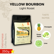 Authentique Specilaity Yellow Bourbon Arabica 100% (Light Roast) (Vietnam Coffee Beans) 250g กาแฟคั่