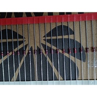 Original Imported Philips NXP/PH RD3.6 E B1 B2 3.6 B1 B2 0.5 W 3V6 Diode