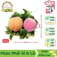 Fake Peaches (Pink/Yellow) (9x8 cm) 99% AUTHENTIC - Used to decorate homes and shops