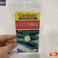 [LOCAL] Cucumber Reliable Seeds