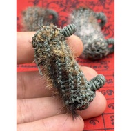 [宗师遗作/顶级冠兰] 伏虎罗汉龙婆本 佛历2543 亲自加持虎皮符管 | LP Pern Wat Bang Phra B.E.2543 Sacred Tiger Skin Takrut
