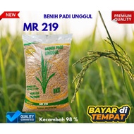 MR 219 RICE SEEDS, BEST QUALITY, ORIGINAL, 5KG PACKAGING