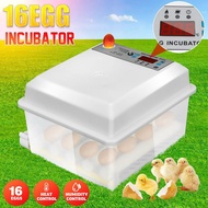 110-220V 16 Eggs Poultry Hatchery Machine Hatching Mini Brooder Small Chicken Bird Egg Hatchers Incubator for Quail Parrot Duck