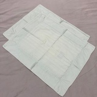 英國品牌WEDGWOOD蘋果綠條紋刺繡小抱枕套一組兩個 100%埃及棉 義大利製纖維