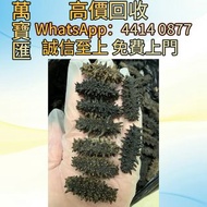 俄羅斯野生大紅海參 花膠，赤嘴花膠，舊花膠，陳年花膠，燕窩，鮑魚，海參，海味，魚翅，幹鮑魚，幹海參，舊花膠，鳘魚膠，北海母，金錢膠，赤嘴膠，台山赤嘴，湛江赤嘴，花膠 紅雞赤嘴，陽江赤嘴，北海膠，赤嘴鳘