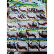 centipede prank toy 1 pad