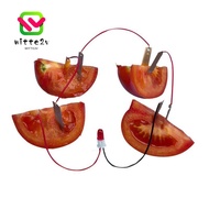 WITTEMY Electricity Experiments Science Kit, Bio Energy Potato Powered Fruit Battery Science Experim