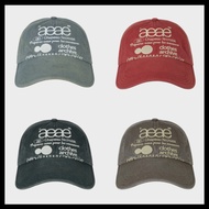 AEAE WEB LOGO WASHED 5 PANNEL BALL CAP shipping from korea✈️