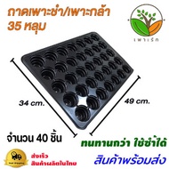 ถาดเพาะกล้าปลูกต้นไม้ ถาดเพาะข้าว เพาะชำ ถาดเพาะเมล็ด ถาดเพาะปลูกผัก 35หลุม 104หลุม 105หลุม200
