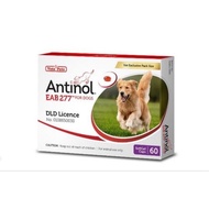 Antinol DOG 60 แคปซูล อาหารเสริมบำรุงข้อ ข้ออักเสบ 1 กล่องบรรจุ