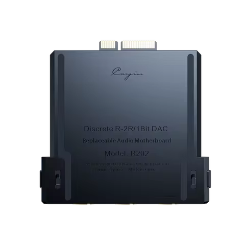 Cayin R202 Audio Motherboard for N6III DAP Discrete R-2R 1-Bit DAC Fully Balanced