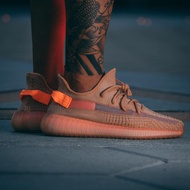 Adidas Yeezy 350 Boost V2 Clay