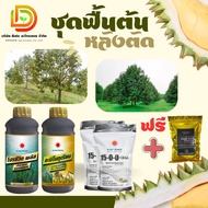 #ชุดพื้นต้นหลังตัด ดึงยอดใหม่ (อะมิโนทุเรียน+โปรซีวิด+15-0-0/2kg +แถม แบล็กเอิร์ท 1 kg) #ดวงตะวันเพ