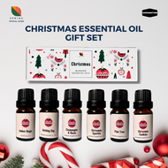 Essential Oil Christmas Gift Set for Women - Gifts Ideas Friends Officemates with Box - Holiday Scents - Varganation