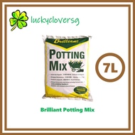 Brilliant Potting Mix / Soil