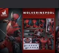 【現貨】全新 Hot toys Hottoys  mms857 Deadpool &Wolverine 死侍與狼人 Wolverinepool