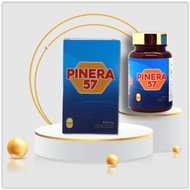 Pinera 57 obat herbal diabetes kencing manis ampuh original pinera57