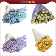 [PETSOLA] Flower Crochet Kit, Handmade  Kit, Craft Projects, Crochet Start Kit, Beginner DIY,
