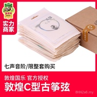 String Guzheng Set Qisheng Brand Guzheng String String Type Musical Instrument 1-21 Accessories Guzh