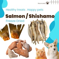 Freeze Dried Fish Treats. Salmon, Fish, Shishamo. Cat Treats Dog Treats