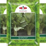 PREMIUM SEED - Benih Sawi Besar Giant SHINTA keluaran Cap Panah Merah pack 25g dan 100 gram original